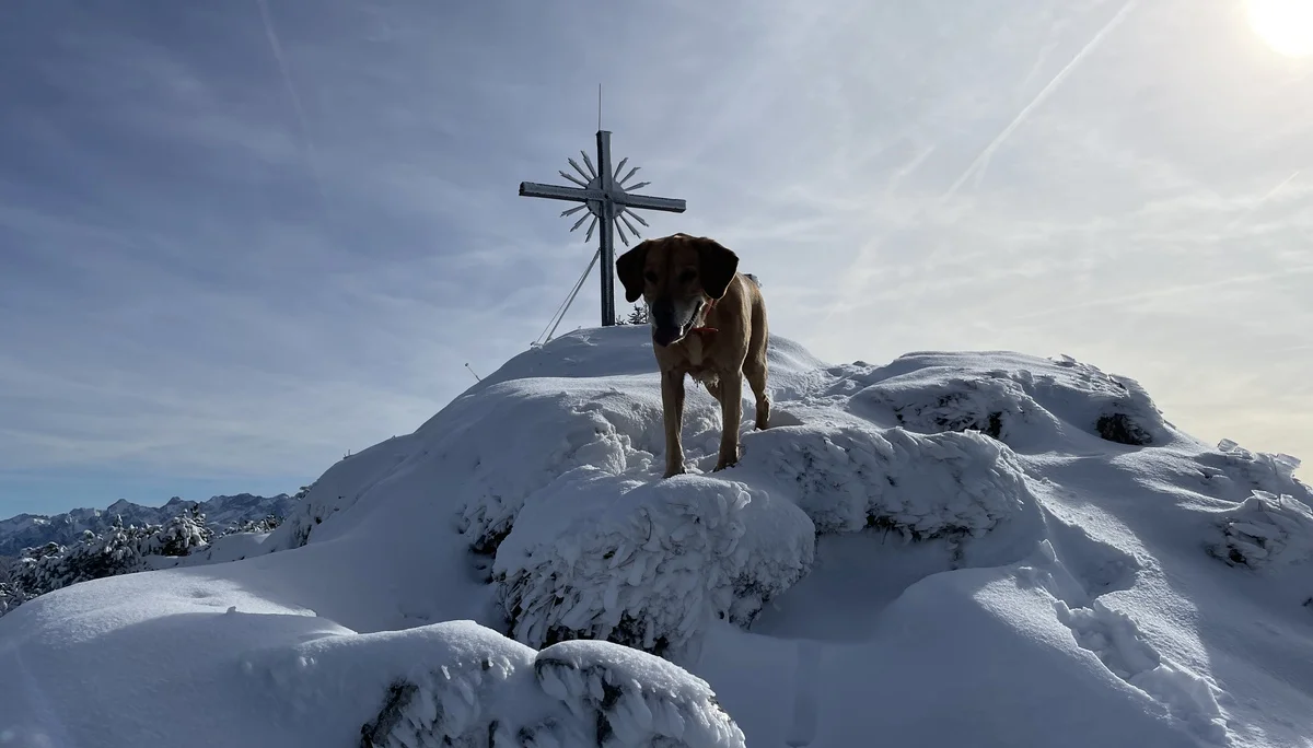 © Sektion Geltendorf