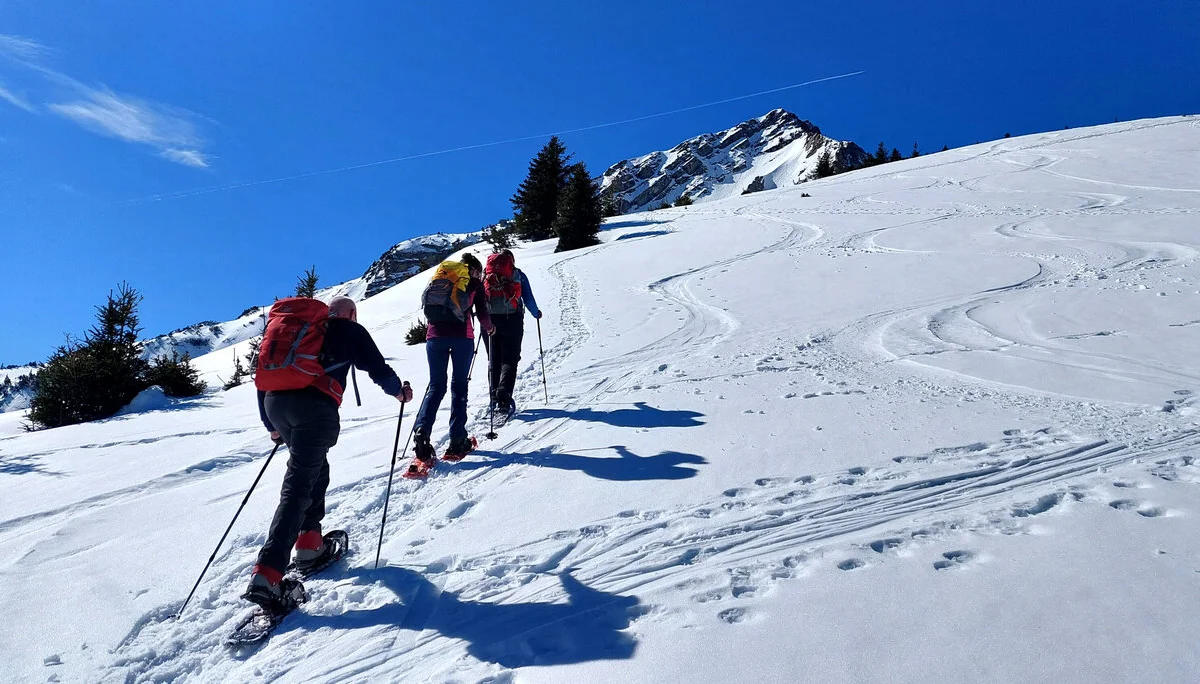 © Sektion Geltendorf