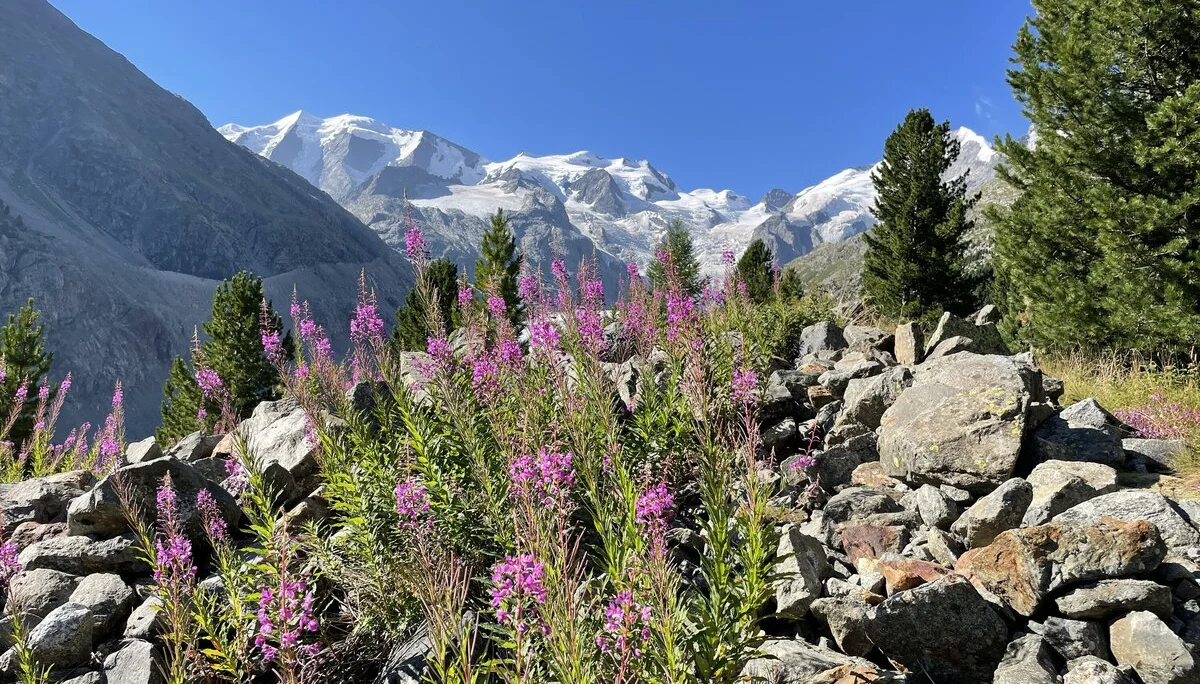 © Sektion Geltendorf