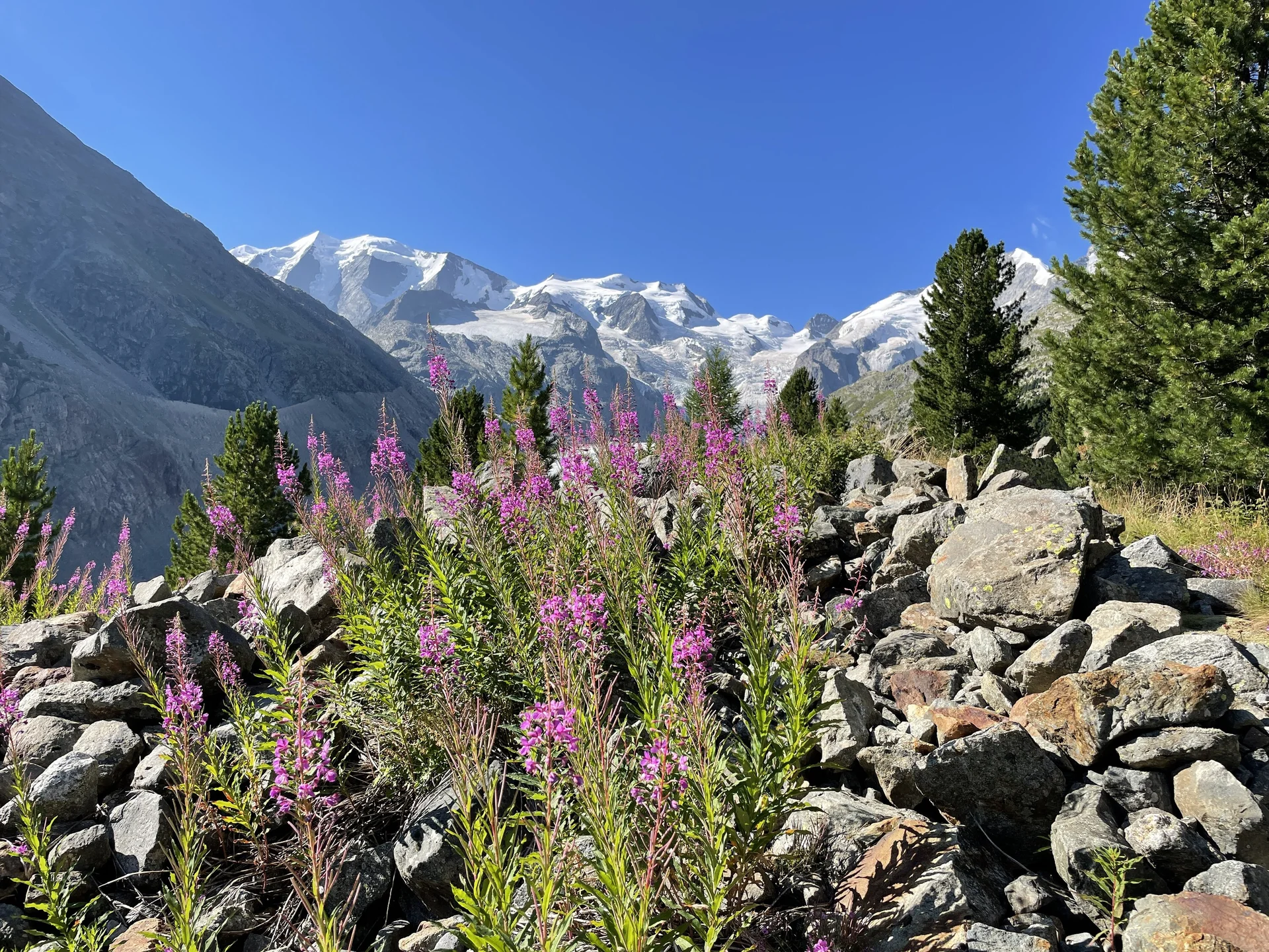 © Sektion Geltendorf