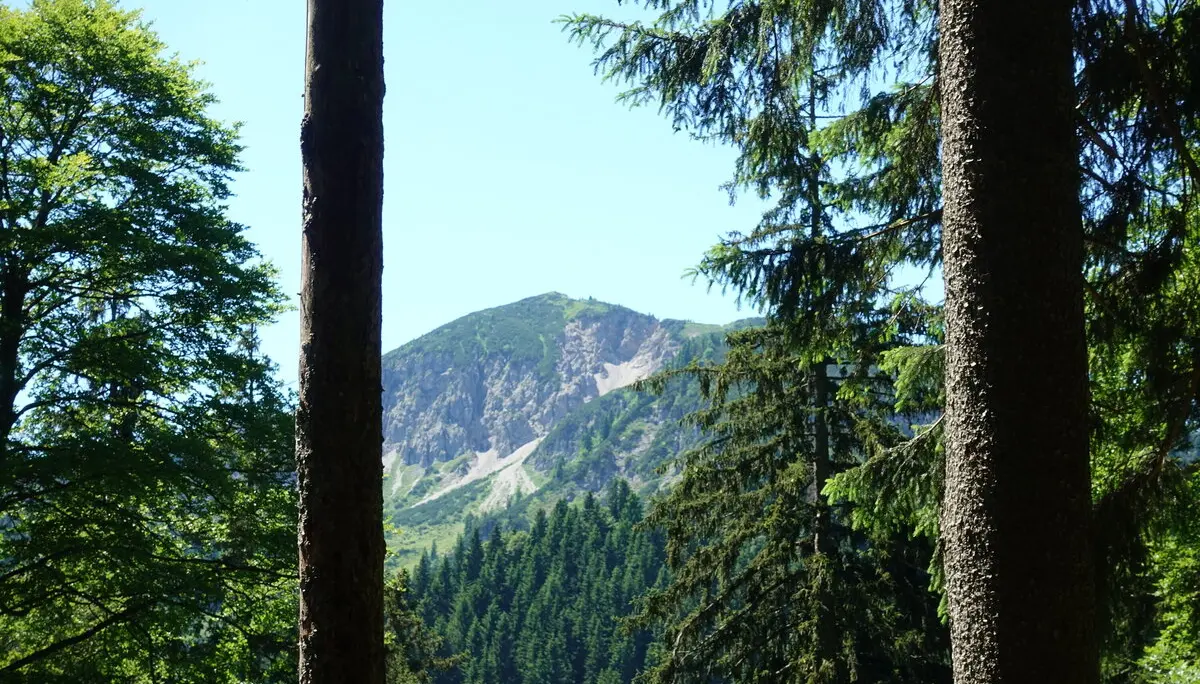 © Sektion Geltendorf