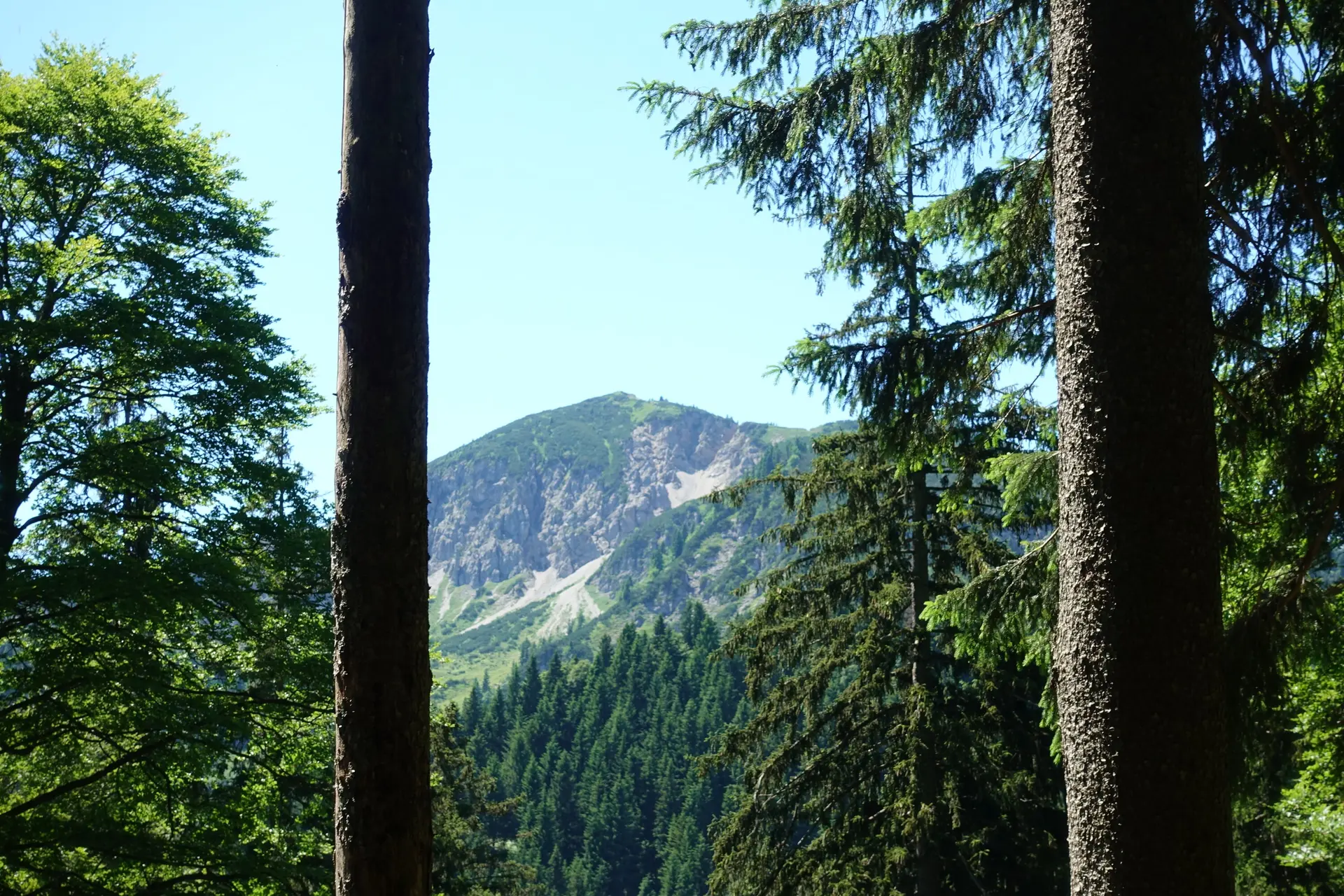 © Sektion Geltendorf