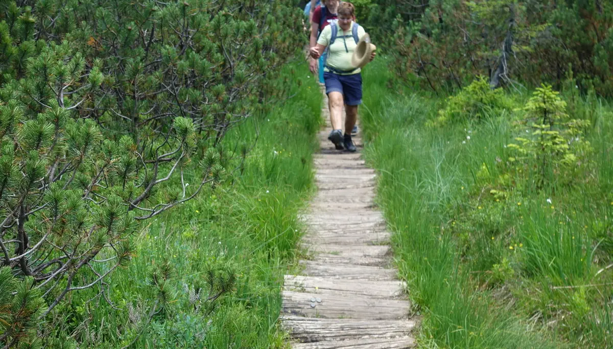 © Sektion Geltendorf