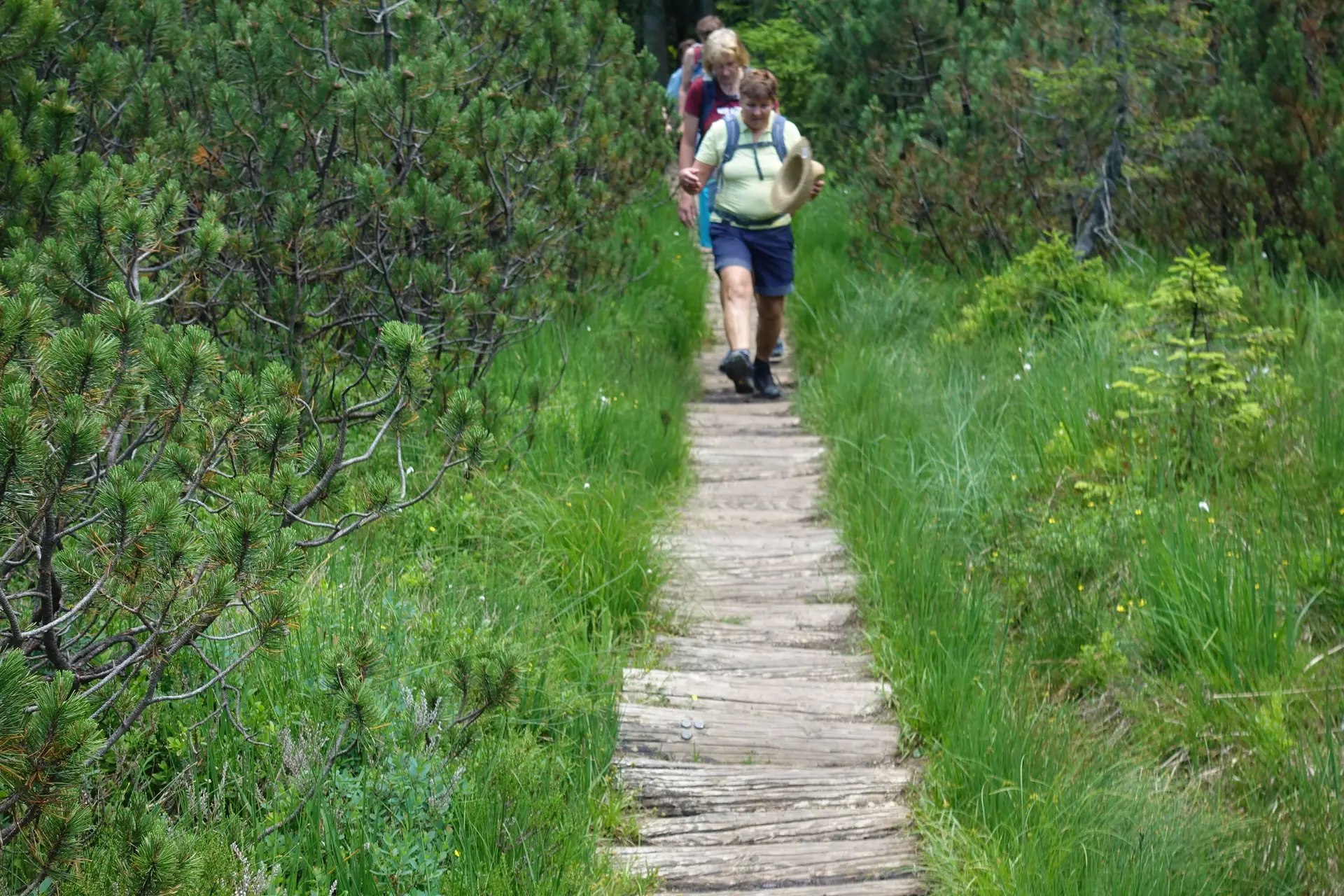 © Sektion Geltendorf