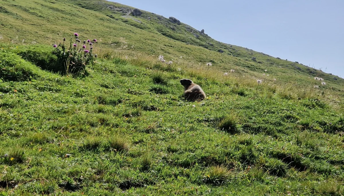 Nadine Hochtour Südtirol 9 | © Sektion DAV Geltendorf / Nadine Daumann
