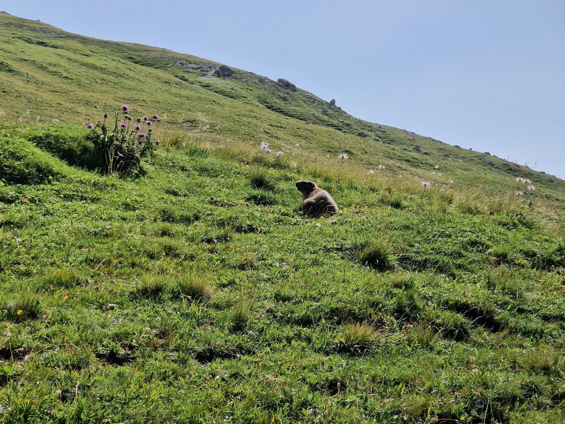 Nadine Hochtour Südtirol 9 | © Sektion DAV Geltendorf / Nadine Daumann