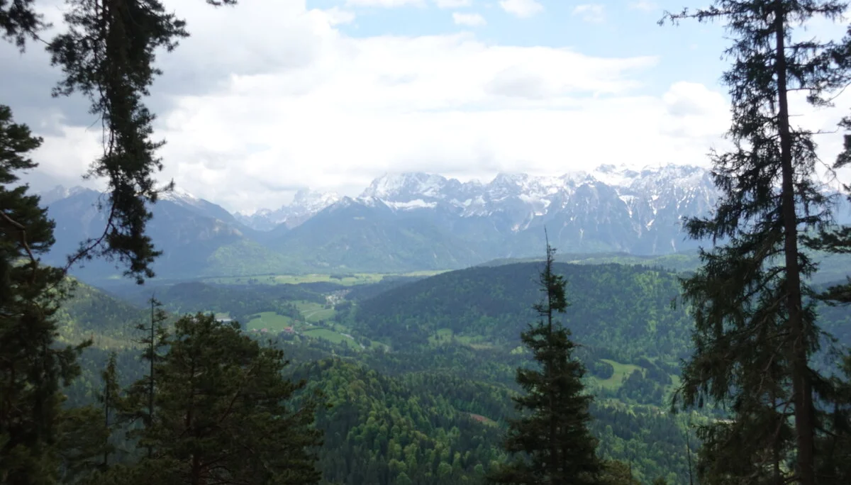 Blick durch Nadelbäume auf bewaldete Hügel und schneebedeckte Berge unter bewölktem Himmel | © DAV Sektion Geltendorf