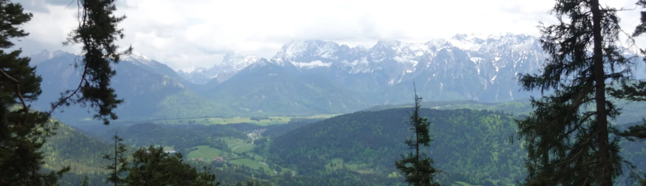 Blick durch Nadelbäume auf bewaldete Hügel und schneebedeckte Berge unter bewölktem Himmel | © DAV Sektion Geltendorf