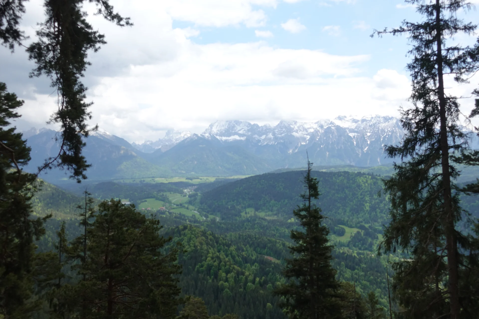 Blick durch Nadelbäume auf bewaldete Hügel und schneebedeckte Berge unter bewölktem Himmel | © Christoph Maier
