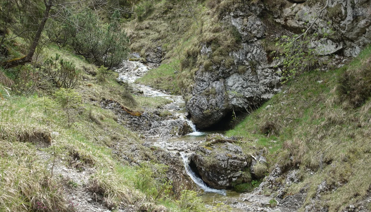 Kleiner Bach fließt durch eine felsige, bewachsene Schlucht mit grünem Gras und Büschen | © Christoph Maier