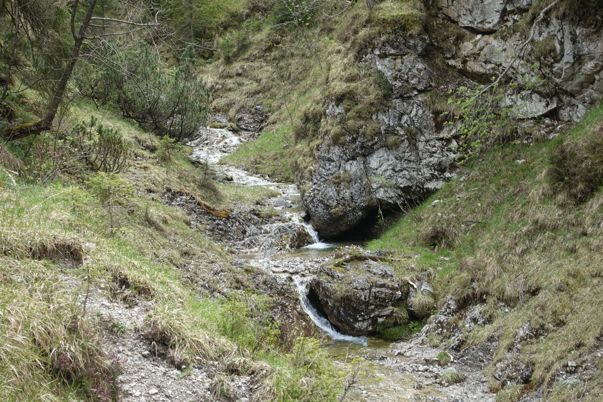 Kleiner Bach fließt durch eine felsige, bewachsene Schlucht mit grünem Gras und Büschen | © Christoph Maier