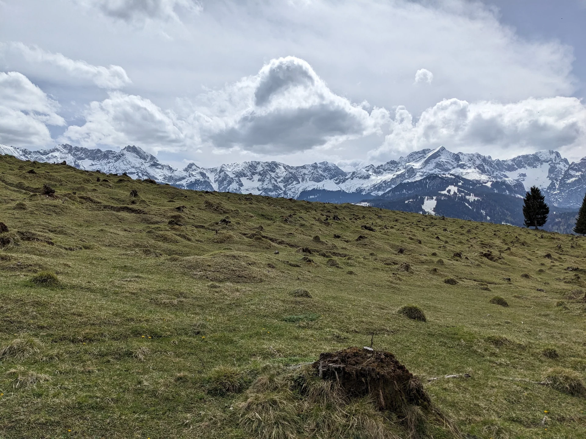 Grüne Almwiese mit Baumstumpf im Vordergrund, dahinter schneebedeckte Alpen unter bewölktem Himmel | © DAV Sektion Geltendorf