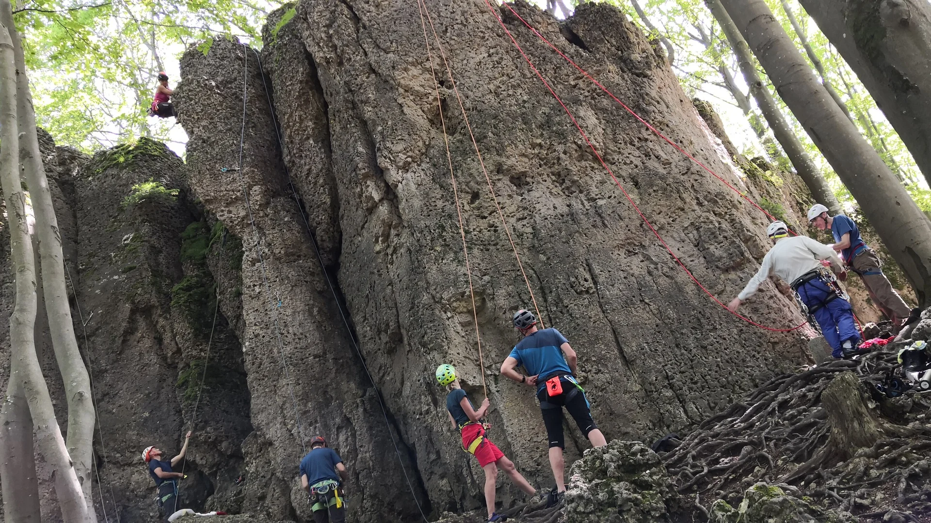 Mehrere Personen beim Outdoor-Kletterkurs an einer großen Felswand im Wald, zwei Kletterer am Felsen, andere sichern am Boden | © DAV Sektion Geltendorf