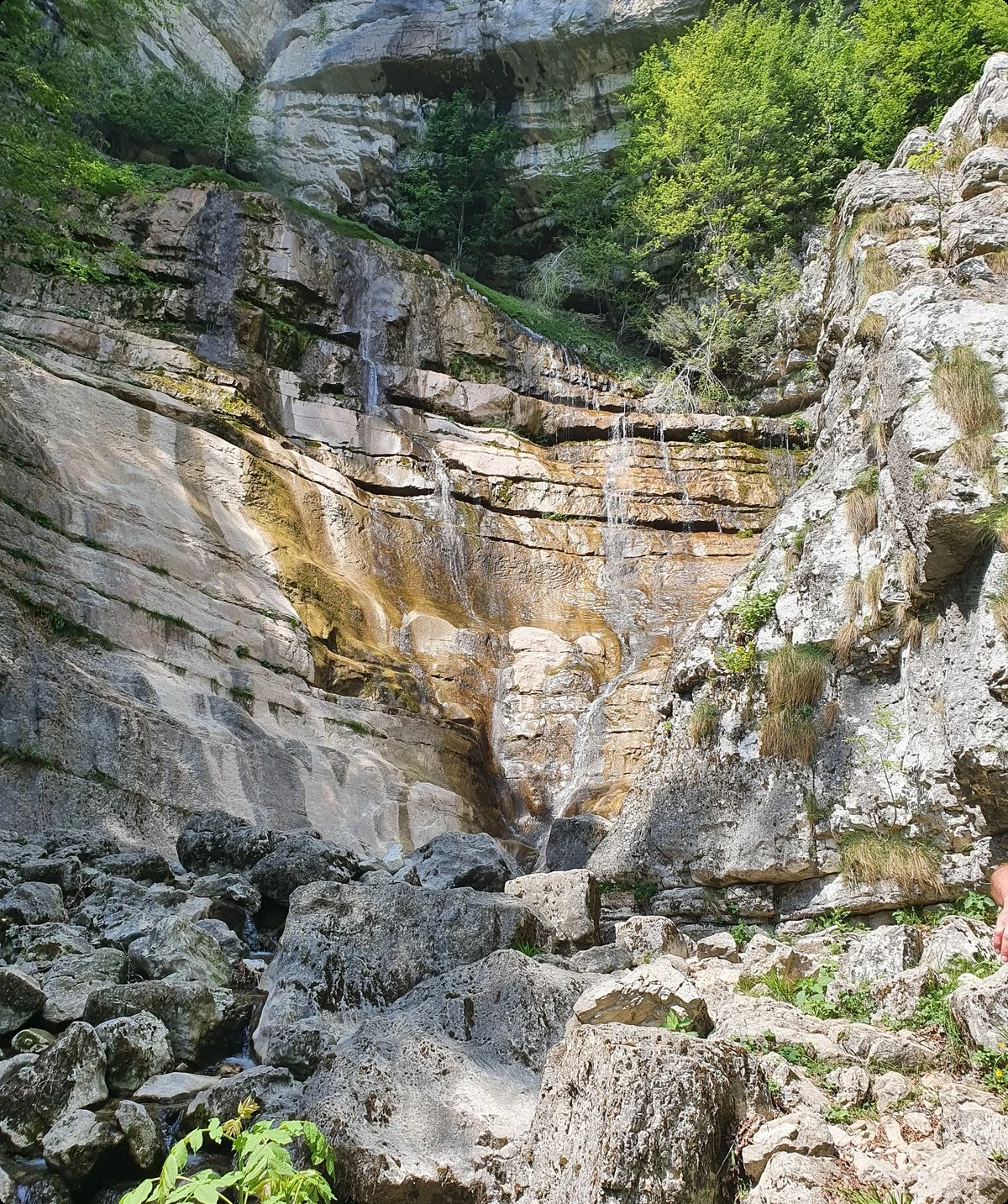 Felswand mit Klettersteig im grünen Waldgebiet bei Arco | © DAV Sektion Geltendorf