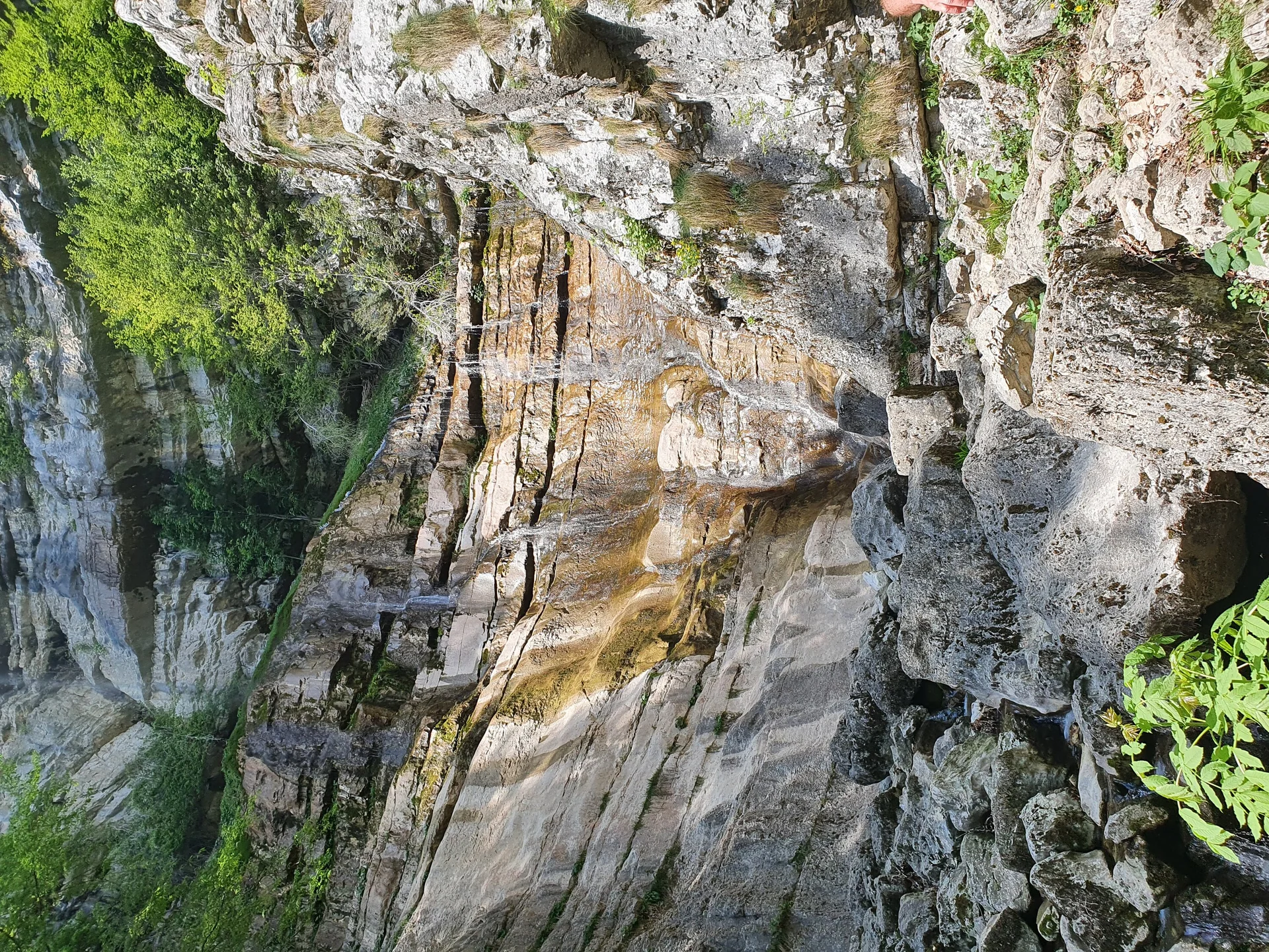 Felswand mit Klettersteig im grünen Waldgebiet bei Arco | © DAV Sektion Geltendorf