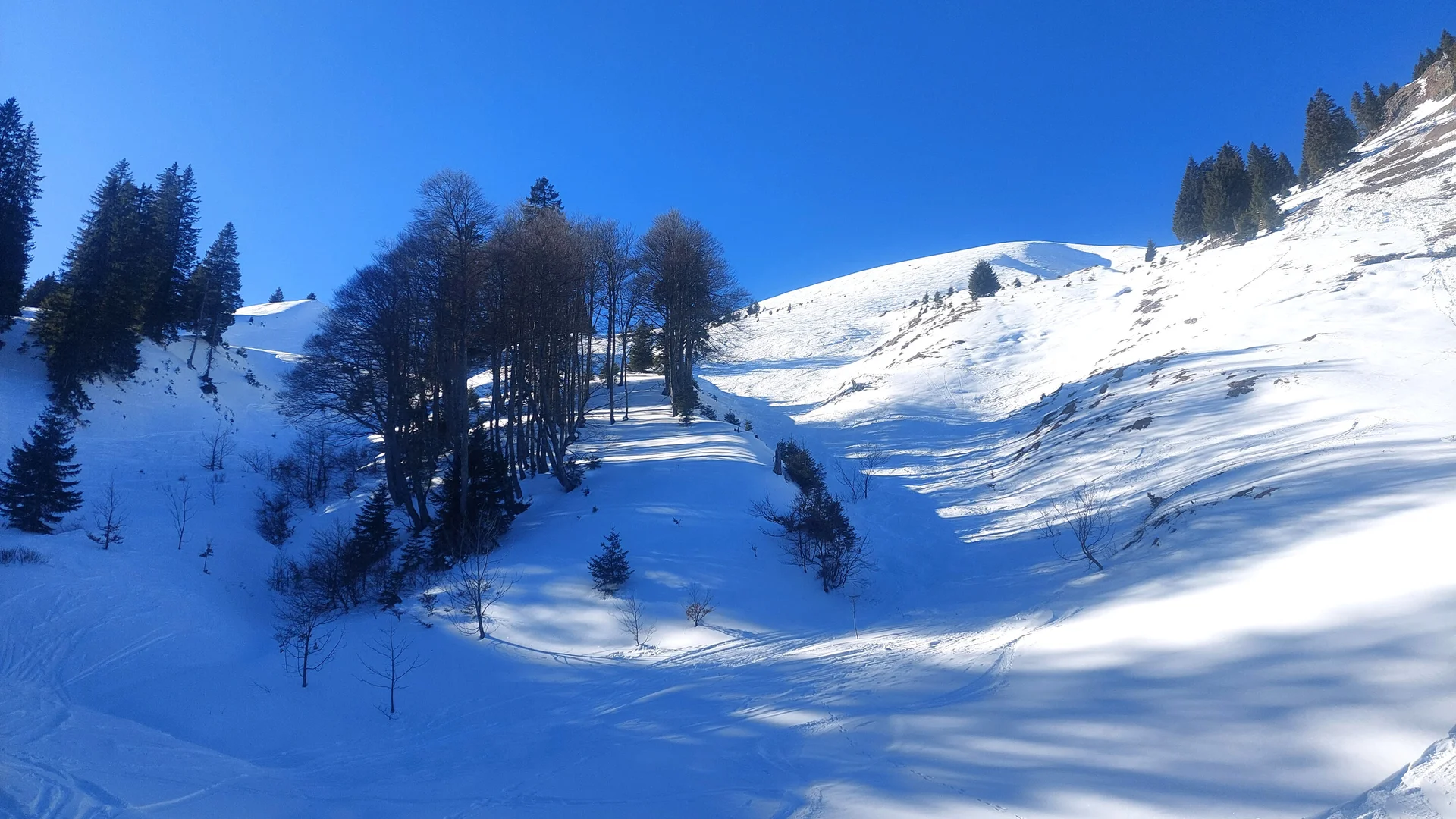 Schneetour auf den Spiesser schneebedeckte Berglandschaft unter klarem blauem Himmel und Sonnenschein | © DAV Sektion Geltendorf