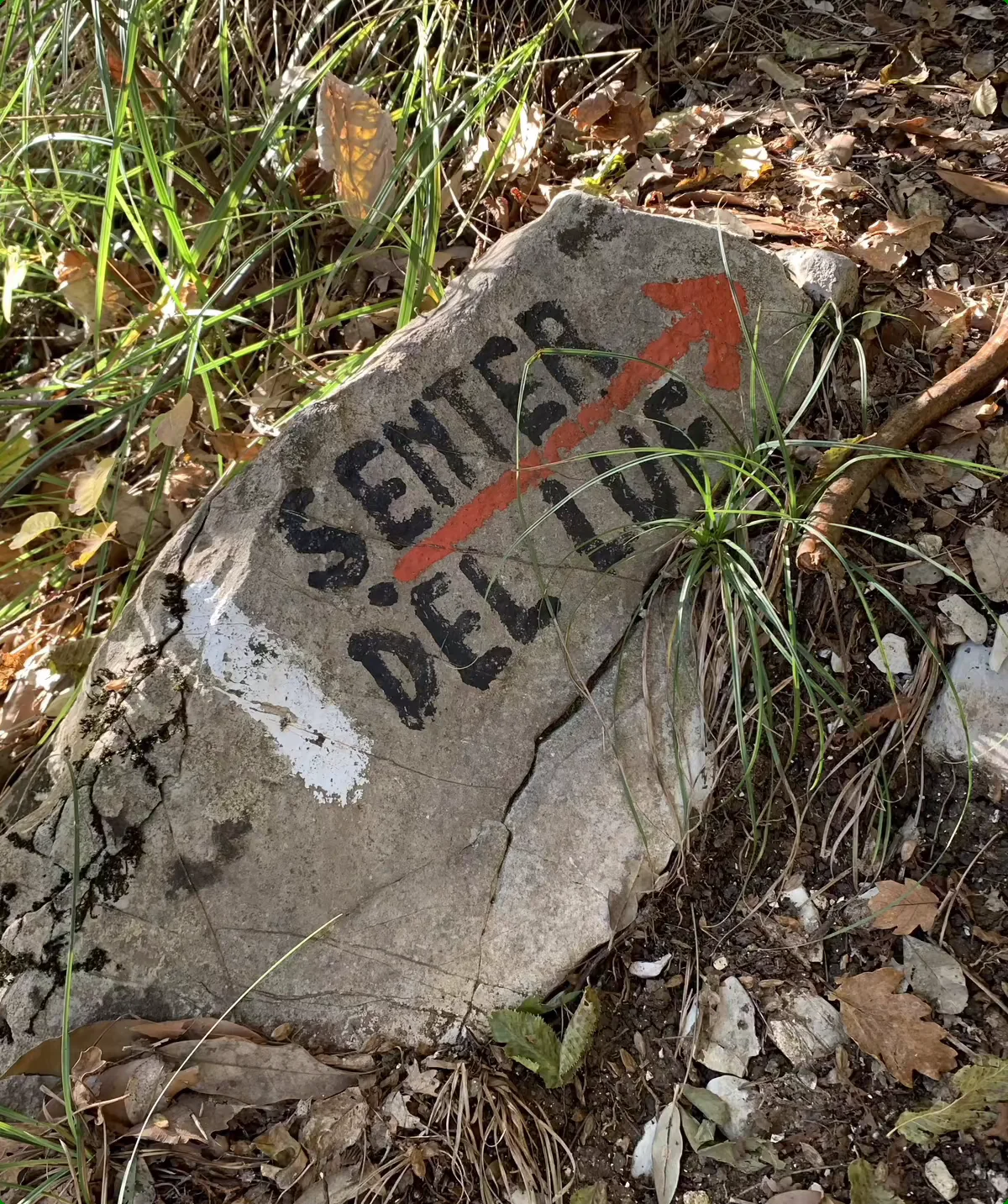 Fels mit handgemaltem Wegweiser 'Sender del Turó' und rotem Pfeil im Wald | © DAV Sektion Geltendorf