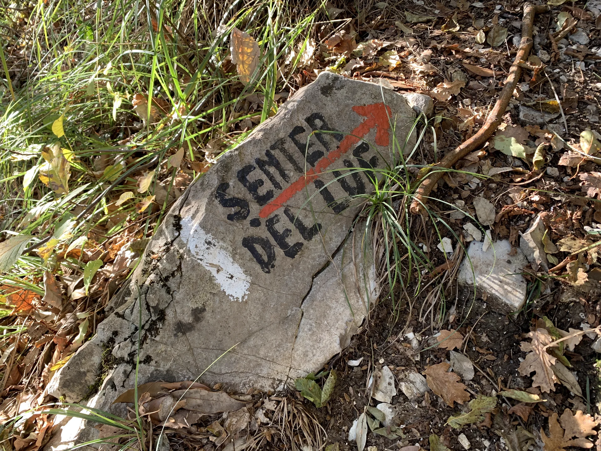 Fels mit handgemaltem Wegweiser 'Sender del Turó' und rotem Pfeil im Wald | © DAV Sektion Geltendorf