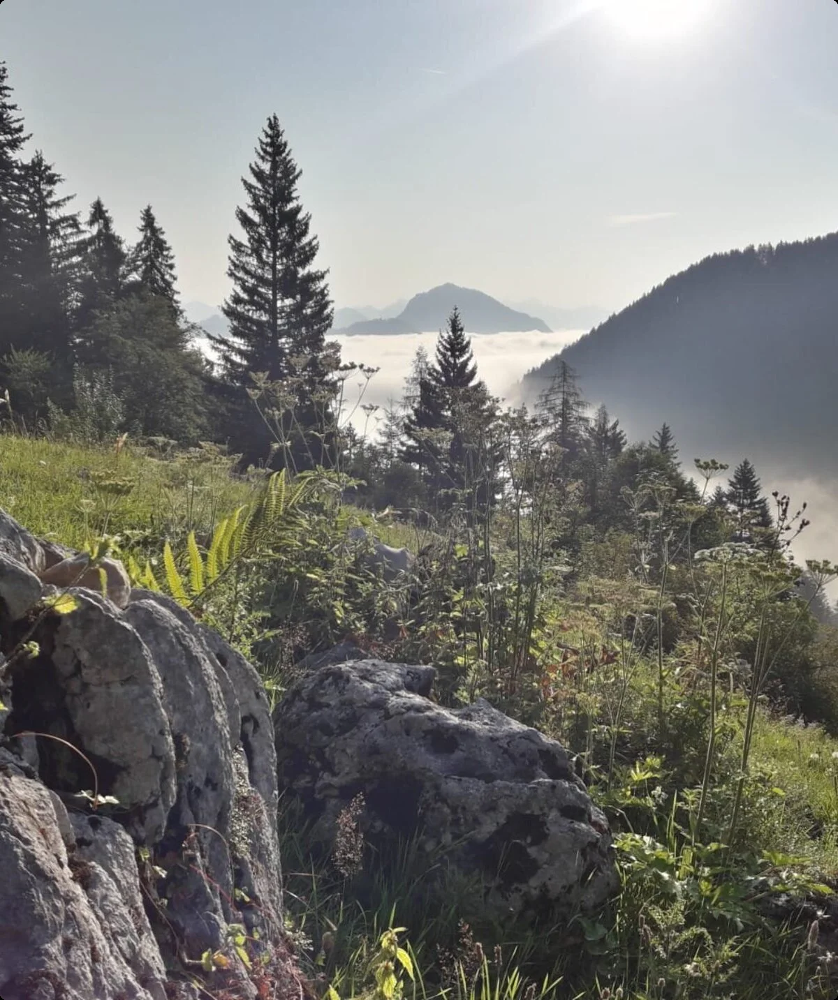 © DAV Sektion Geltendorf