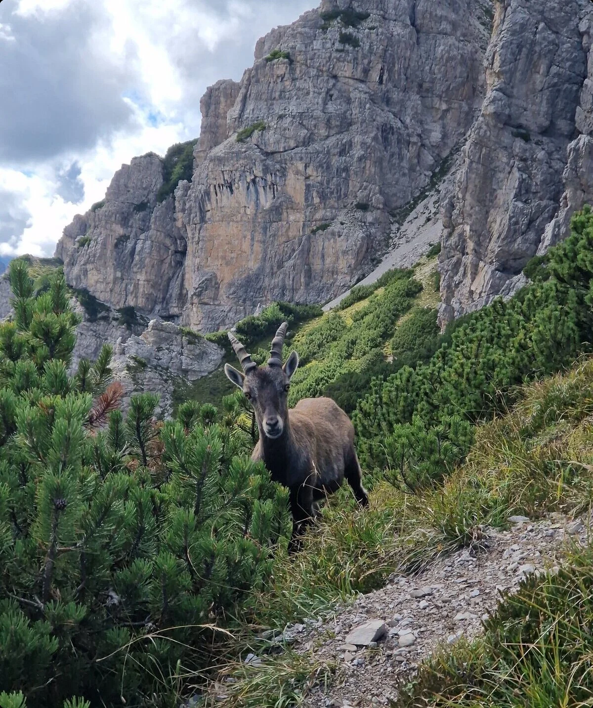 © DAV Sektion Geltendorf