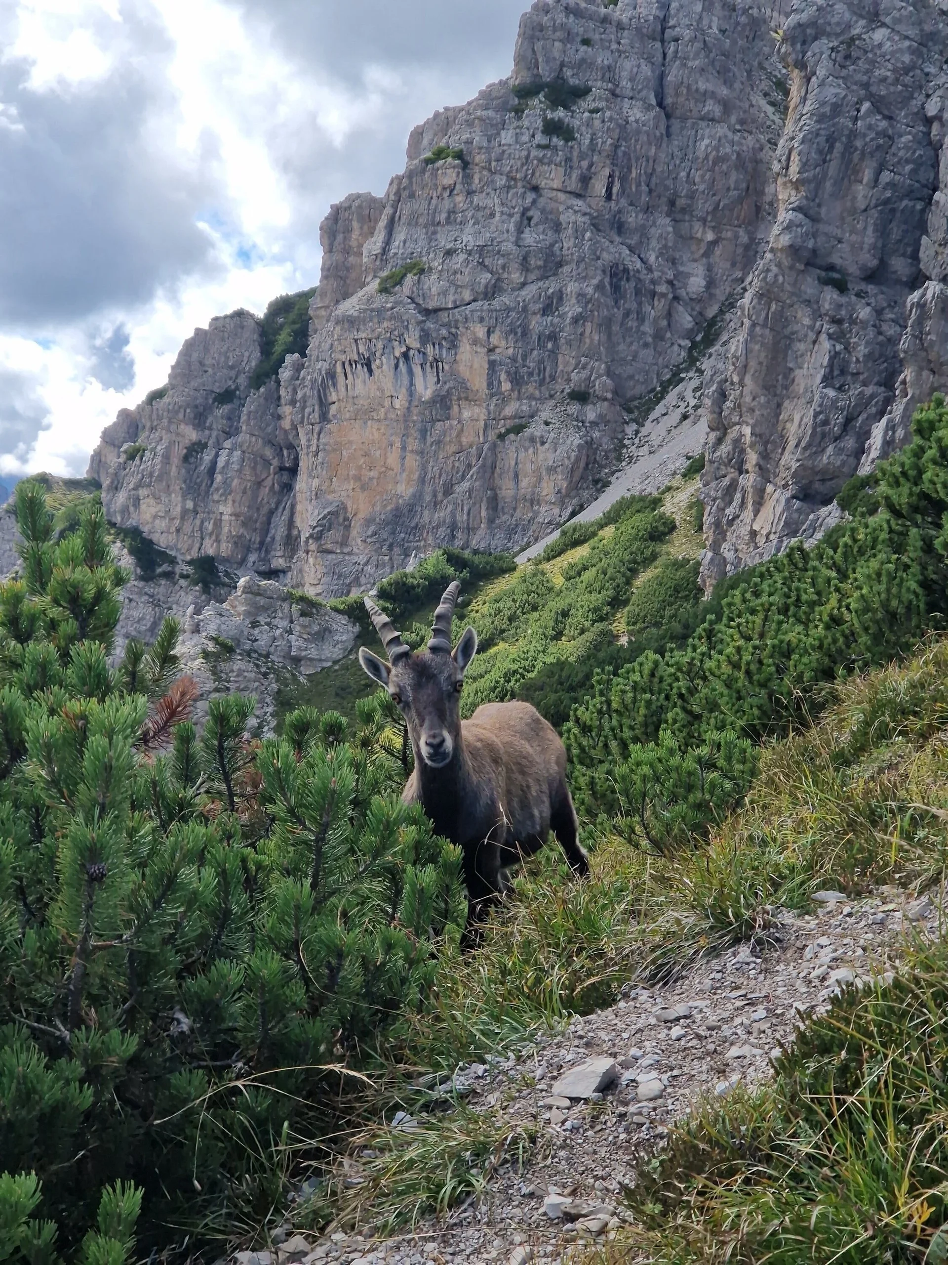 © DAV Sektion Geltendorf