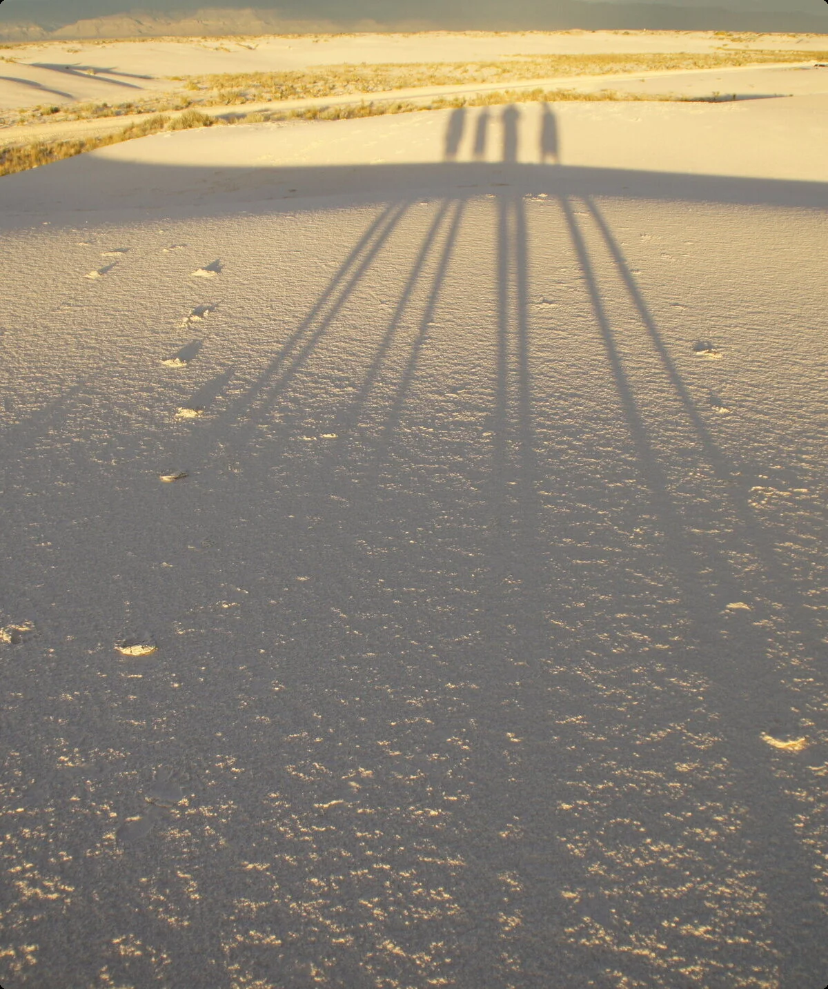 © Christoph Maier