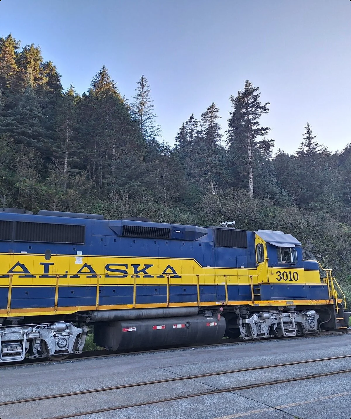 © Michael Lichtenstern