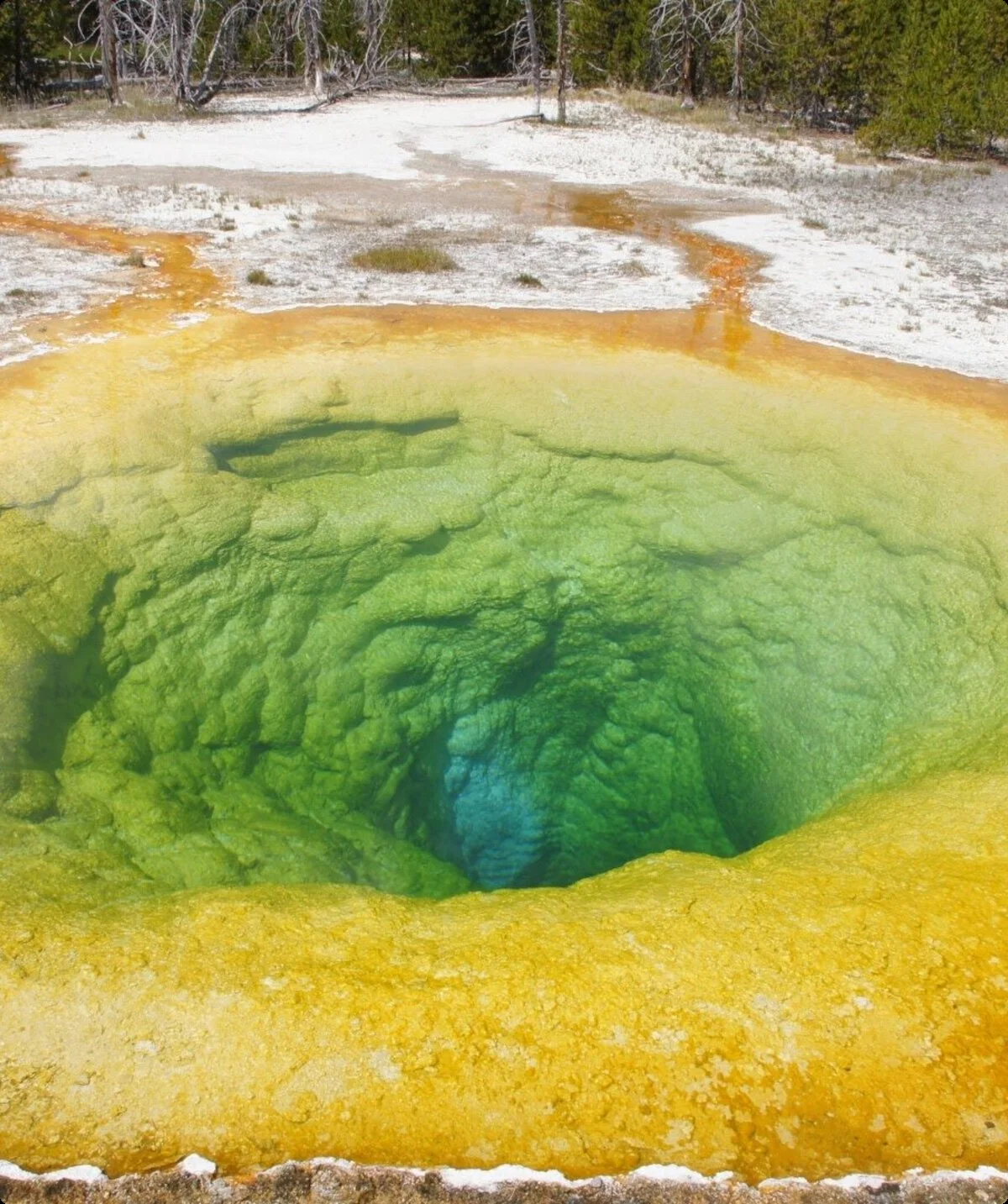 © Sektion Geltendorf