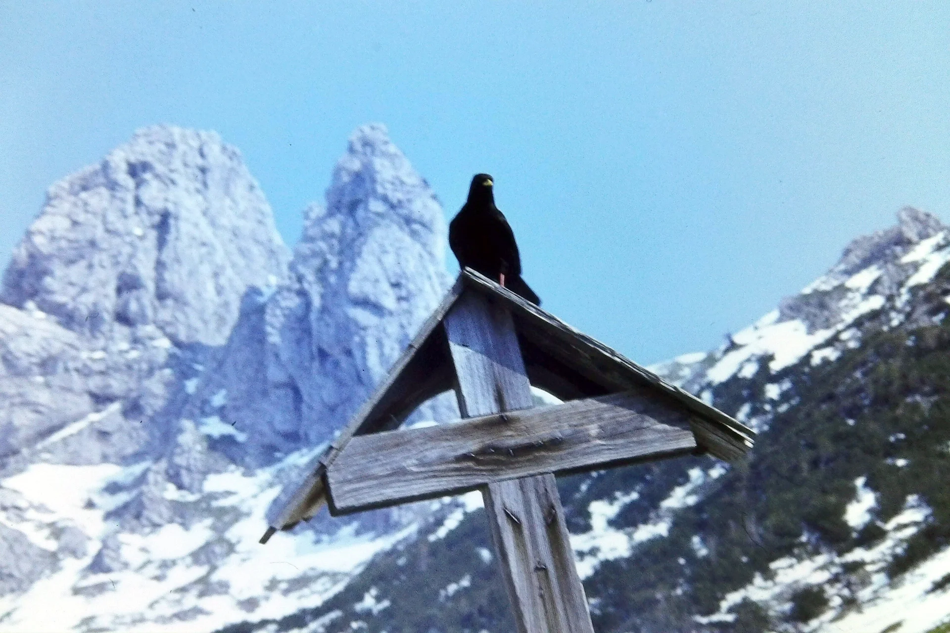 © Hartmut Engel
