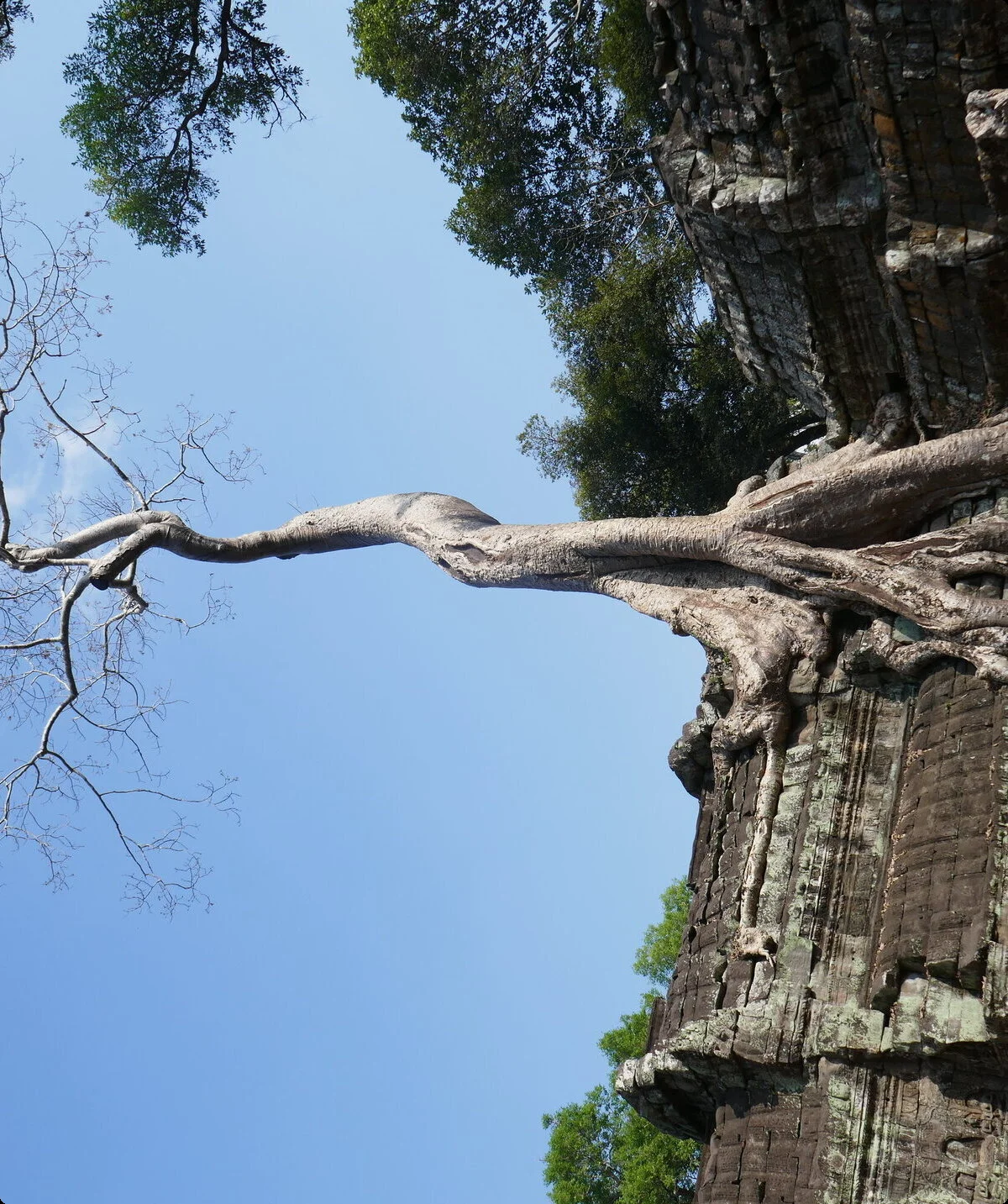 © Gottfried Beschorner