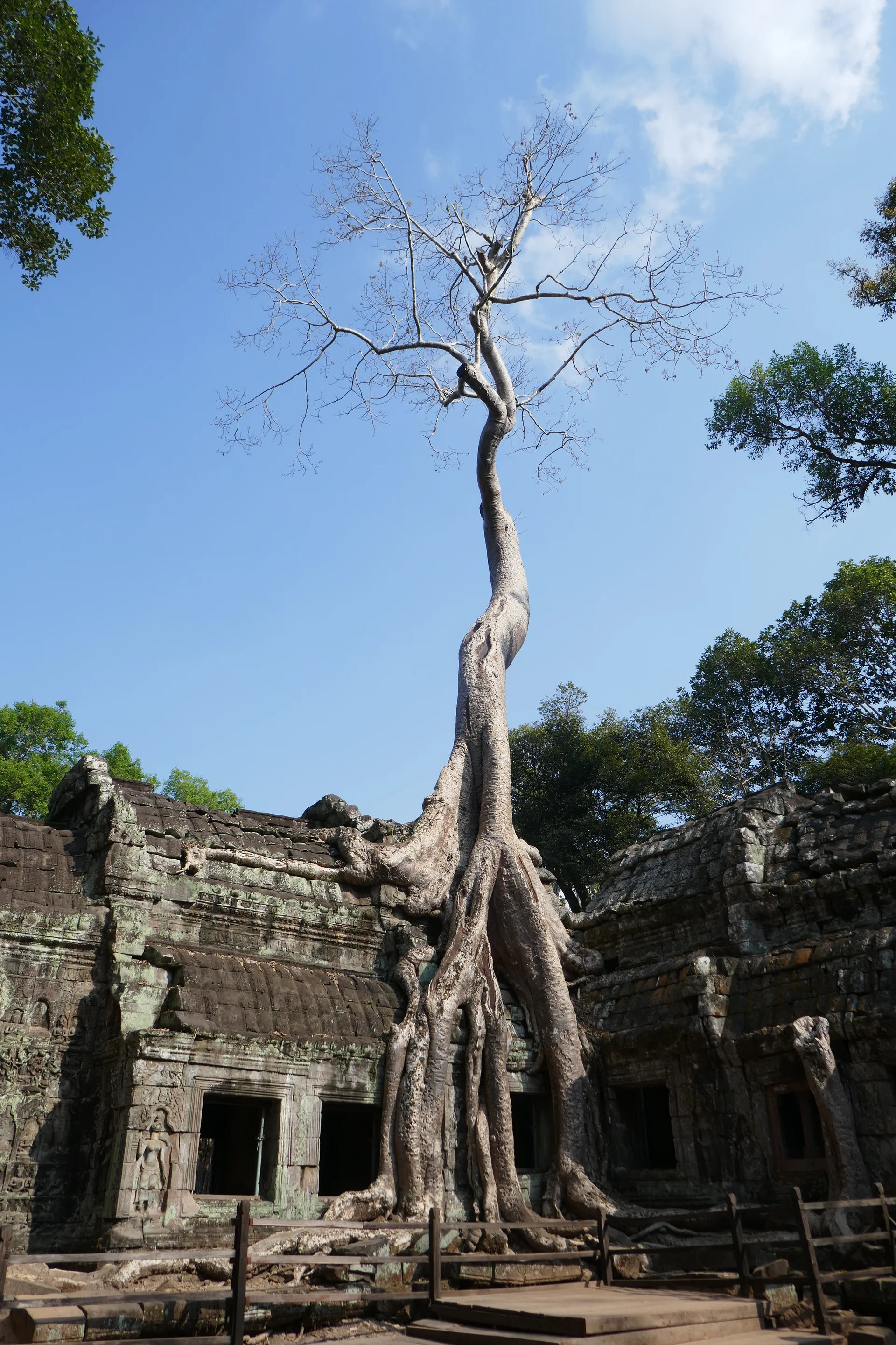 © Gottfried Beschorner