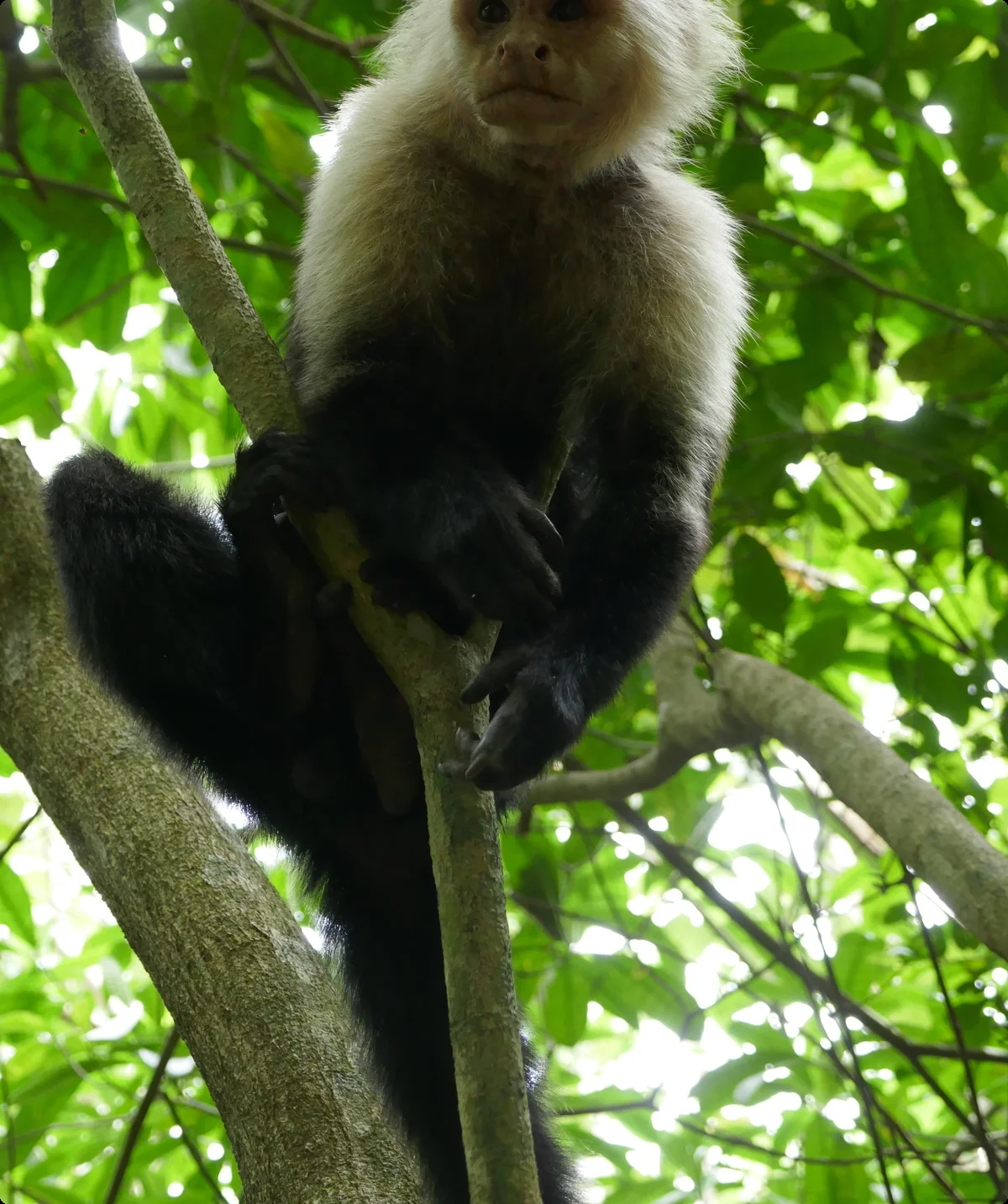 ©  Thomas und Kristina Hein