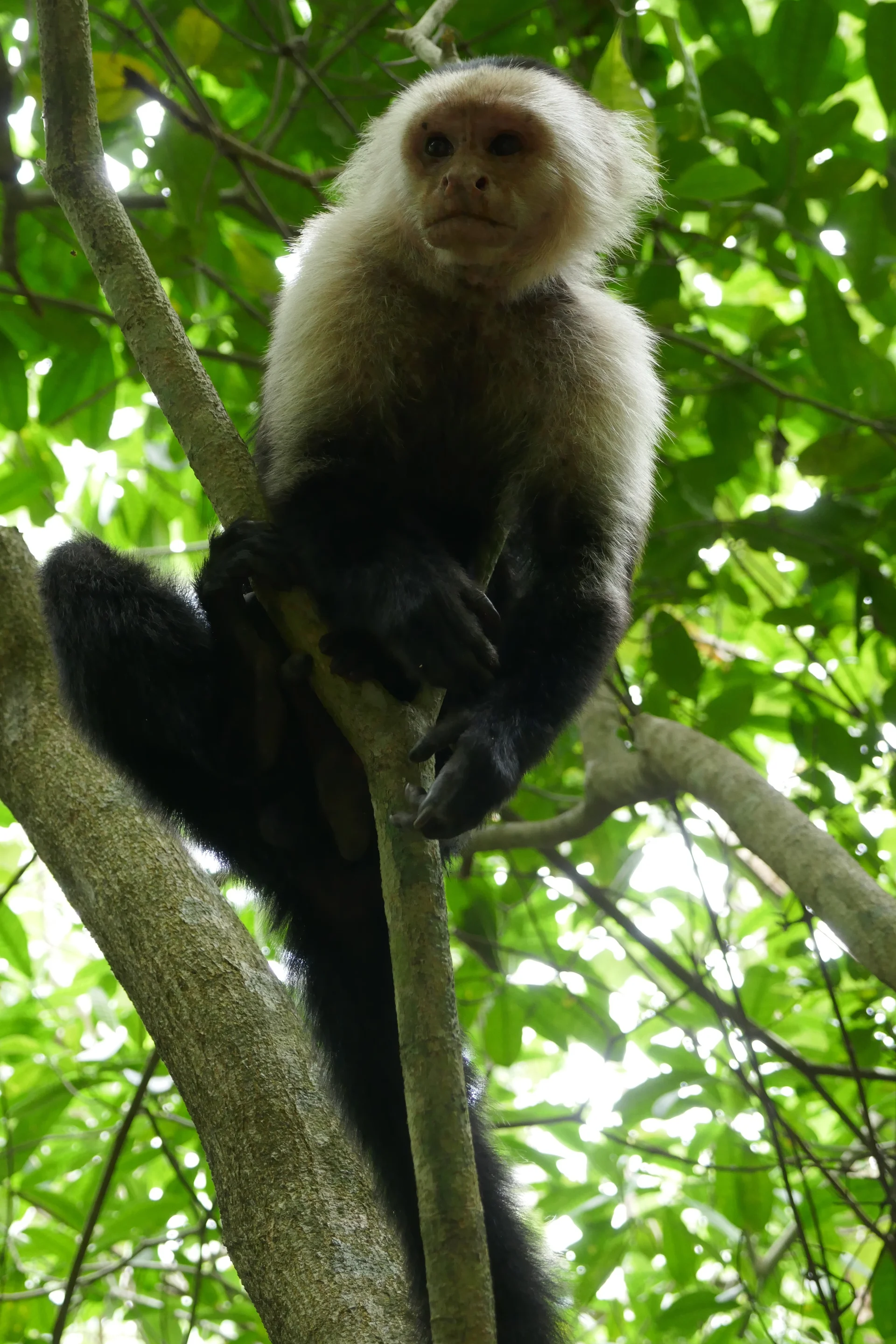 ©  Thomas und Kristina Hein