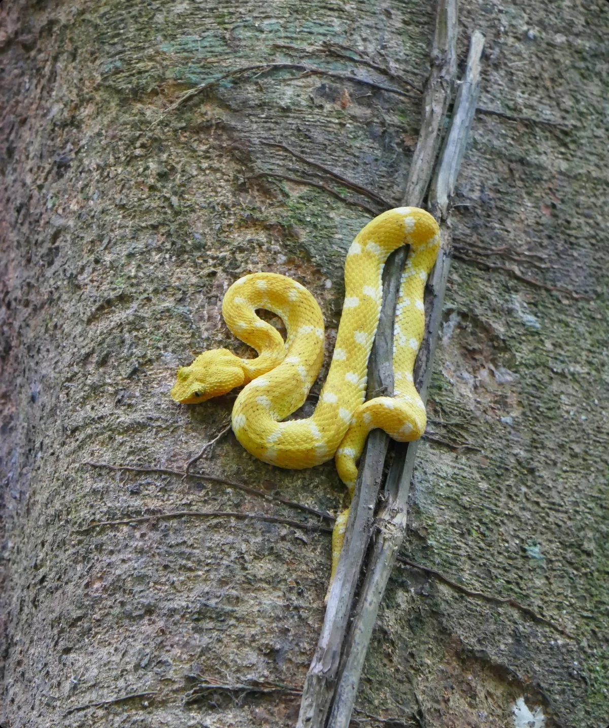 ©  Thomas und Kristina Hein