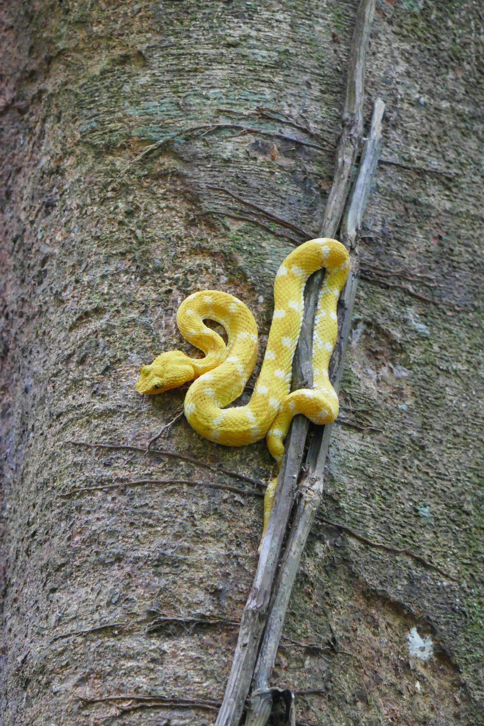 ©  Thomas und Kristina Hein