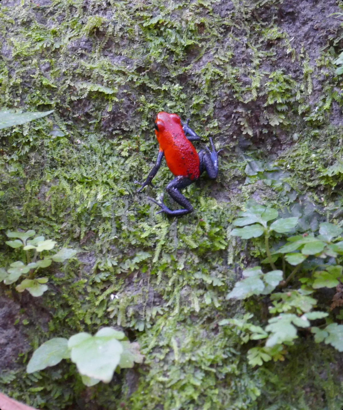 ©  Thomas und Kristina Hein