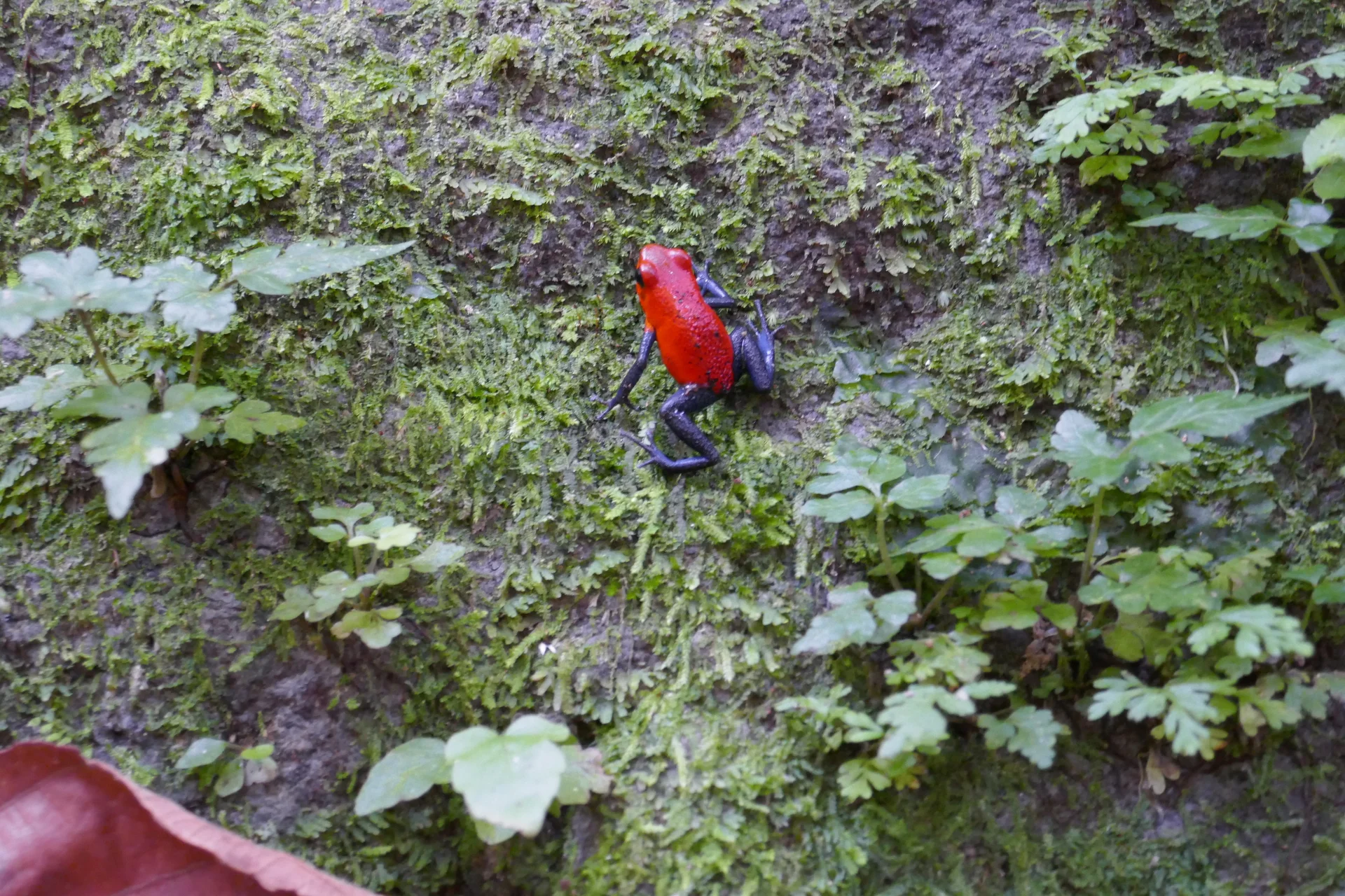 ©  Thomas und Kristina Hein