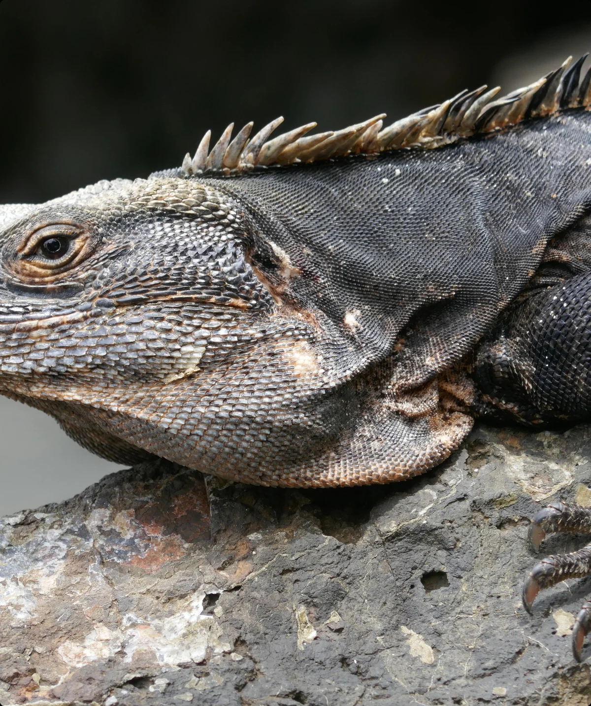 ©  Thomas und Kristina Hein