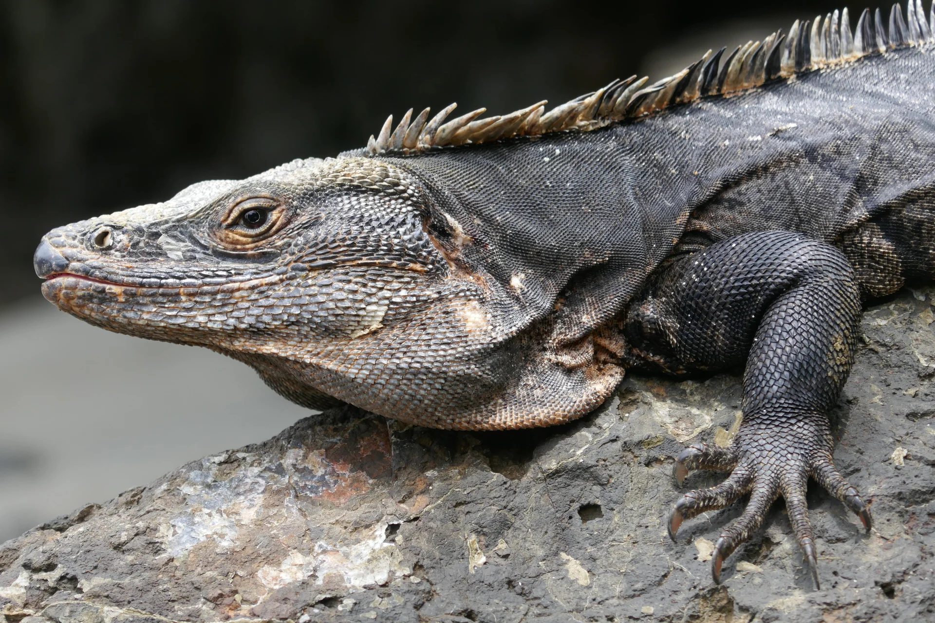 ©  Thomas und Kristina Hein