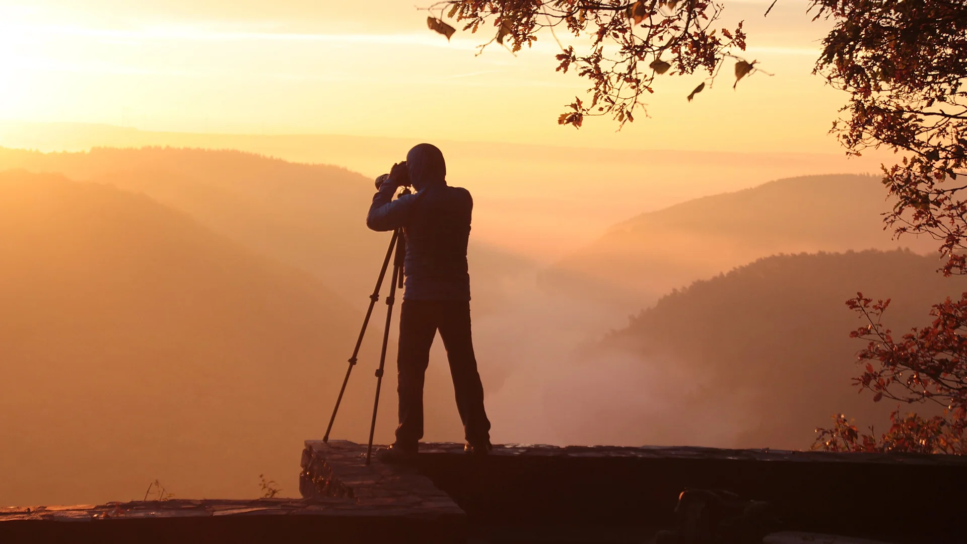 © Bild von Günther Schneider auf Pixabay