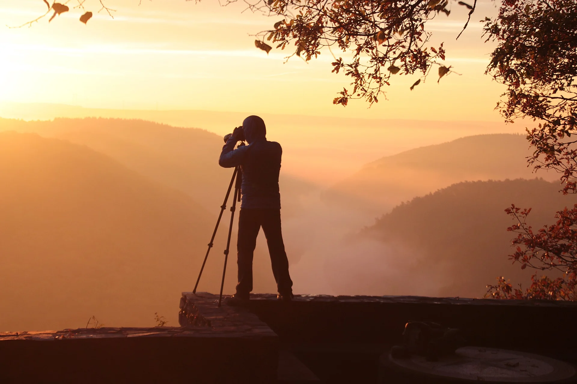 © Bild von Günther Schneider auf Pixabay © Bild von Günther Schneider auf Pixabay