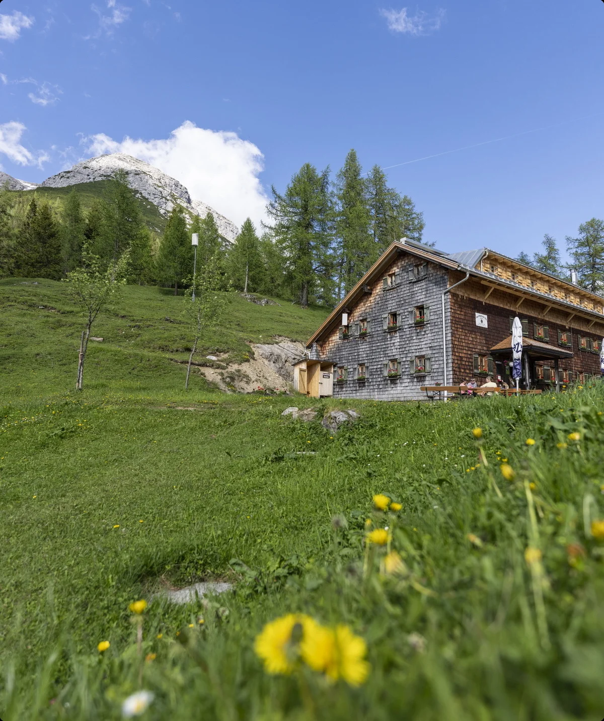 Neue Magdeburger Hütte, eine Berghütte aus Holz und Stein, umgeben von grünen Wiesen und Bergen unter blauem Himmel | © DAV/Wolfgang Ehn