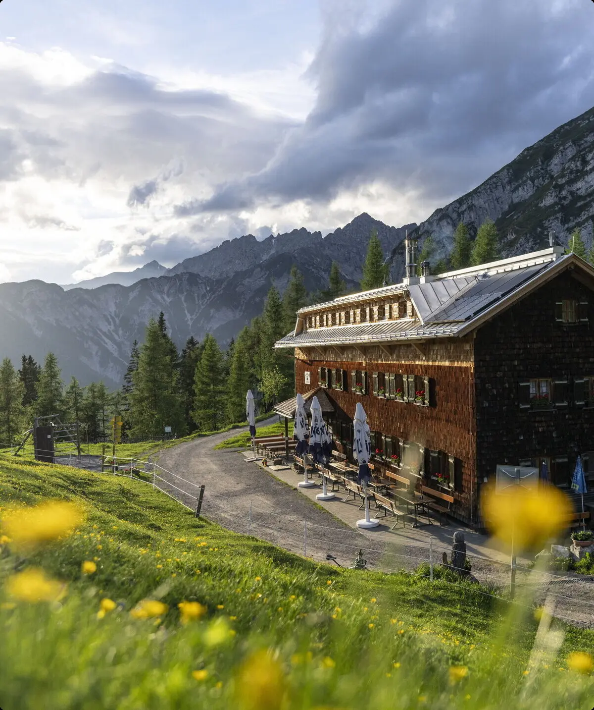Neue Magdeburger Hütte, eine Berghütte in den Alpen, umgeben von Wiesen mit gelben Blumen und Bergen im Hintergrund unter bewölktem Himmel | © DAV/Wolfgang Ehn