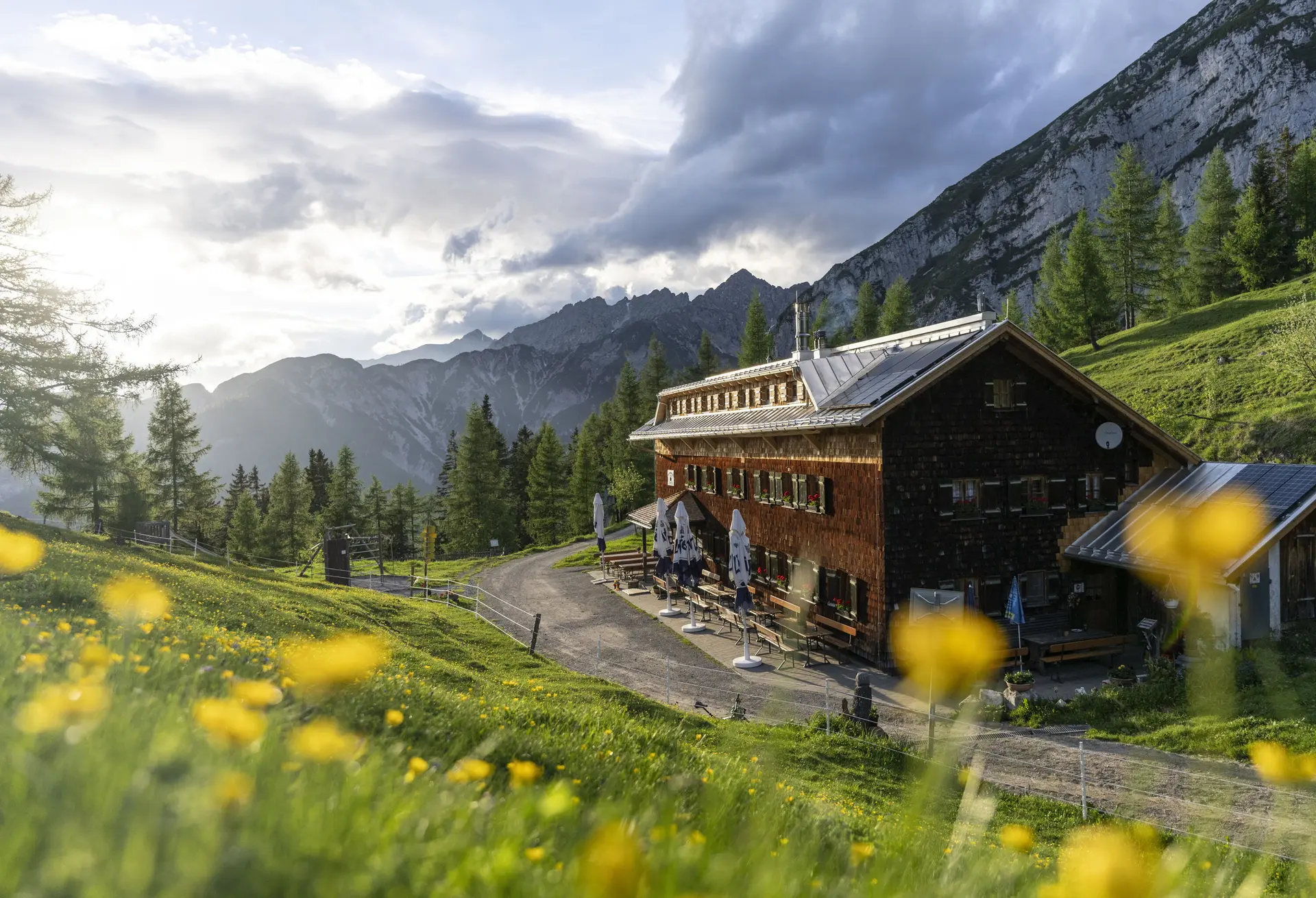 Neue Magdeburger Hütte, eine Berghütte in den Alpen, umgeben von Wiesen mit gelben Blumen und Bergen im Hintergrund unter bewölktem Himmel | © DAV/Wolfgang Ehn