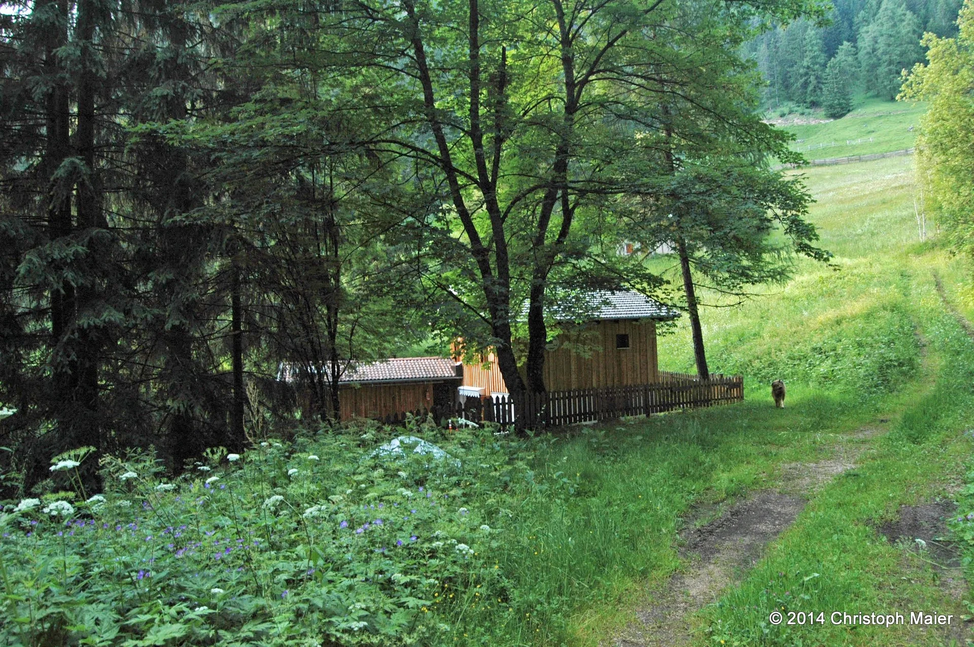 © Sektion Geltendorf