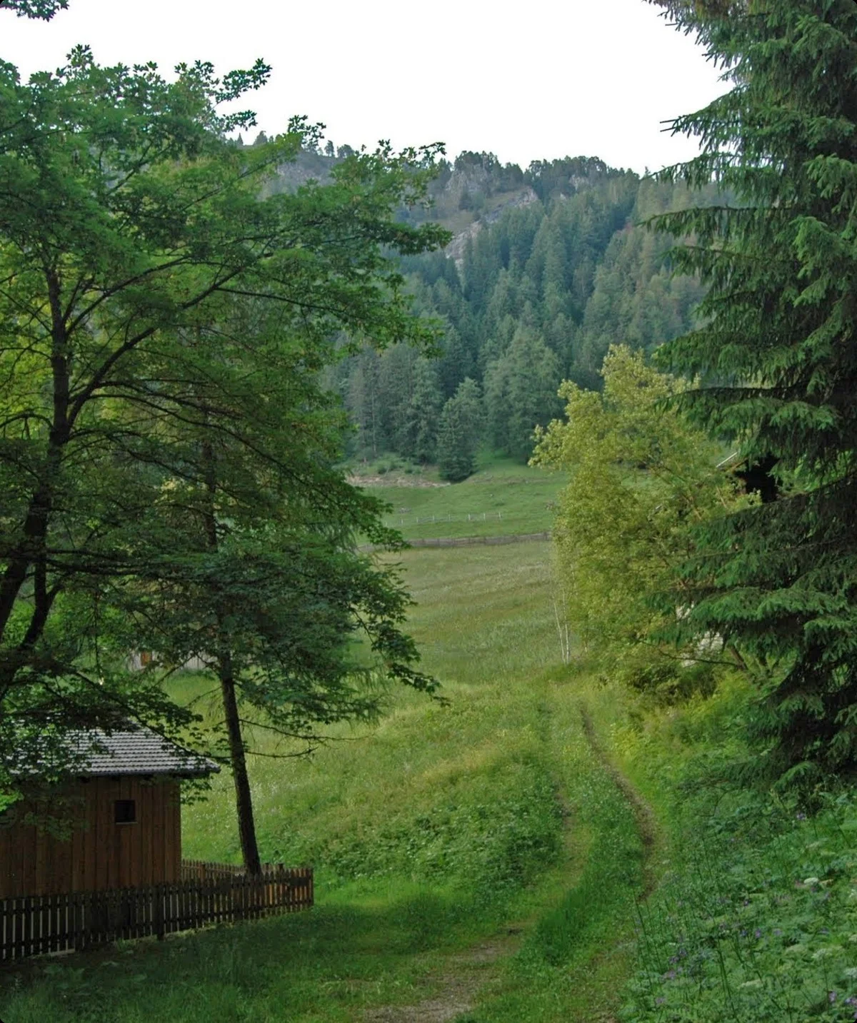 © Sektion Geltendorf